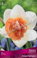 Нарцисс Махровый Кенди Принцесс (12/14) 5шт.