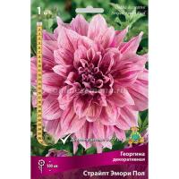 Георгина декоративная Эмори Пол (I) 1 шт 842183