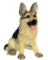 Овчарка немецкая  626156/F412