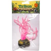 Растение светящееся Тритон 10см/QQY1005/Вестерн