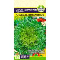 Салат Кладезь Витаминов 0,5г