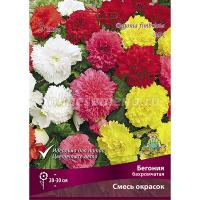 Бегония Бахромчатая Смесь
