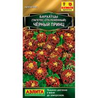 Аэлита Бархатцы Черный принц отклоненные 5шт