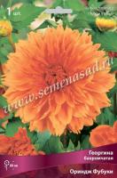Георгина бахромчатая Ориндж Фубуки (I) 1 шт