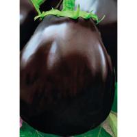 Гавриш Фермерская Баклажан Грибное удовольствие 5 гр 