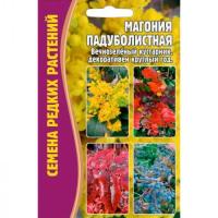 Магония Падуболистная 10 шт