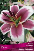 Лилия ОТ-Гибрид Джудит Саффинья (14/16) 2шт