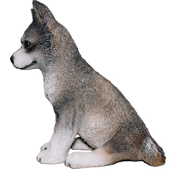 Волченок  12978