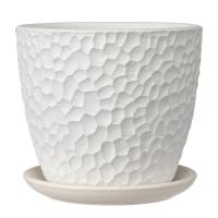 Манго белый бутон №8 22л