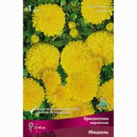 Хризантема корейская Мишель 1шт 