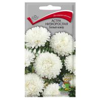 Астра низкорослая Белый ковер 0,2г 