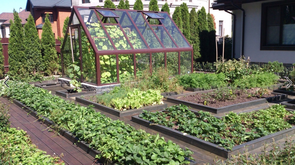 Огород весной. Что делаем в первую очередь? Огород весной. Что делаем в первую очередь?