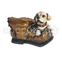 ботинок с соб