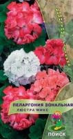 Пеларгония зональная Люстра микс Пеларгония зональная Люстра микс