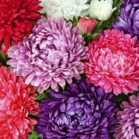 935003074-1 935003074-1