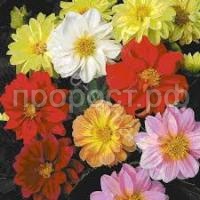 Без названия (8) Без названия (8)