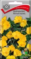 Мирабилис Желтый леденец Мирабилис Желтый леденец