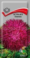 Астра игл Анжелика