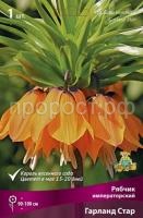 ryabchik_impera_garlan_star_kaper ryabchik_impera_garlan_star_kaper