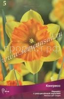 Нарцисс с Расщеплённой коронкой Конгресс (3шт, 10-12) 723429 Нарцисс с Расщеплённой коронкой Конгресс (3шт, 10-12) 723429