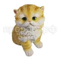 котенок рыжий котенок рыжий