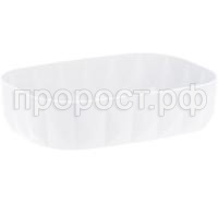 2243-main-5 2243-main-5