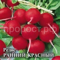Редис Ранний красный 25 г Редис Ранний красный 25 г