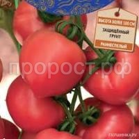 Без названия Без названия