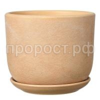 Замша бежевый бук (2)