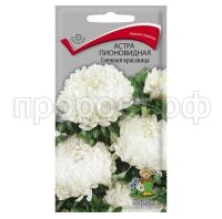 Астра-пионовидная-Снежная-красавица-0,3г-Поиск Астра-пионовидная-Снежная-красавица-0,3г-Поиск