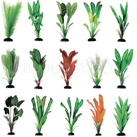 Шелковое растение 50см  MIX Plant 071