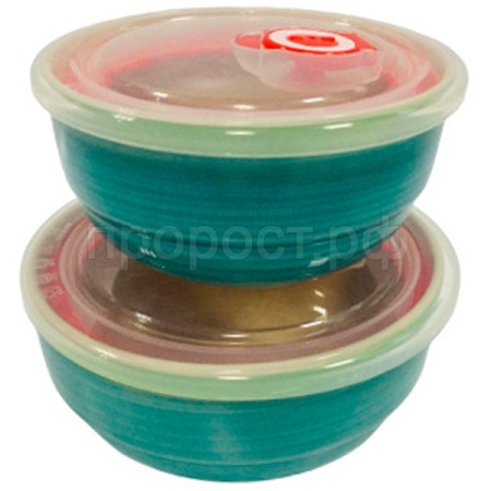 Набор салатников (2шт) с крышками Весенняя капель 139-23092