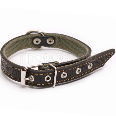 Ошейник кожа+брезент 25мм 2-х слойный Н/У 50-52см/40724