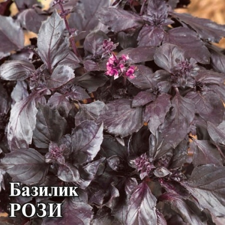 Базилик Рози 10,0 г