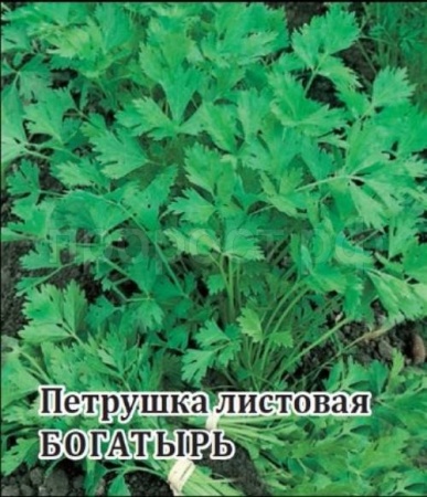 Петрушка Богатырь 50г