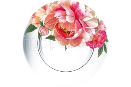 Тарелка сервировочная (6шт) Корнелия /327/6-Д /4шт/ДК