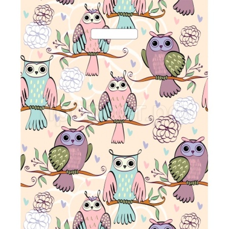 ВУР51691 Пакет 36*43 Совушки 1ШТ с выруб. ручкой ПЭ /50/1000шт/