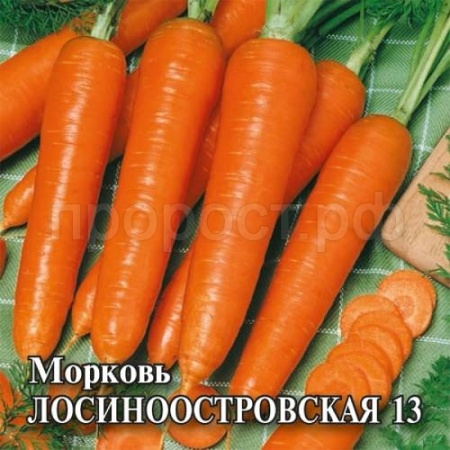 Морковь Лосиноостровская 13 25 г