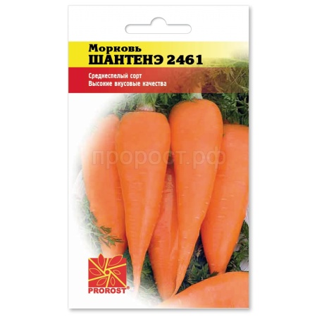 Морковь Шантенэ 2461 2г