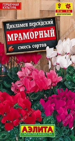 Комн. Цикламен Персидский Мраморный, смесь сортов 3шт 