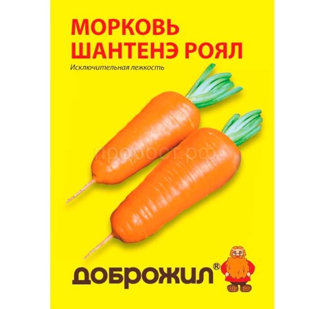 Морковь Шантенэ роял 0,5г