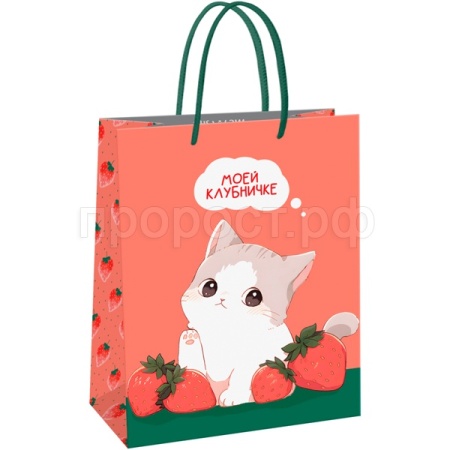 Пакет подарочный 11*14*6,5см "Strawberry" матовая ламинация MESHU/Рельеф