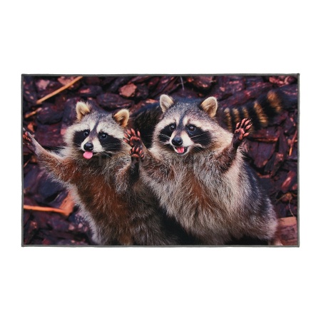 Коврик придверный 50*80см Velur "Веселые еноты" влаговпитывающий