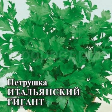 Петрушка Итальянский гигант 25г