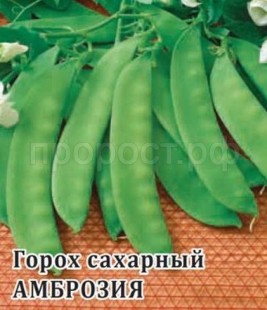Горох Амброзия 100 г