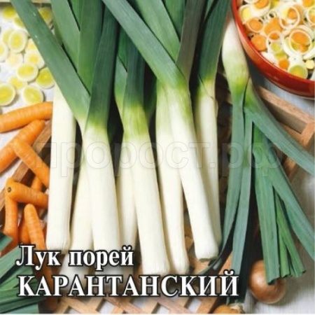 Лук порей Карантанский 10г