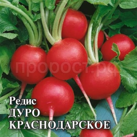 Редис Дуро Краснодарское 25 г