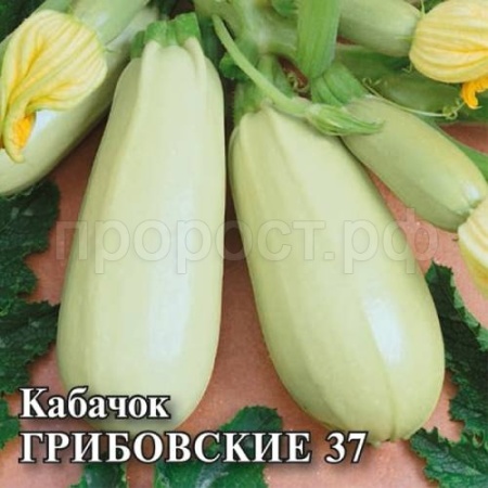 Кабачок Грибовские 37 25 г