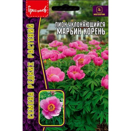 Редкие растения Пион Марьин Корень уклоняющийся 5 шт 